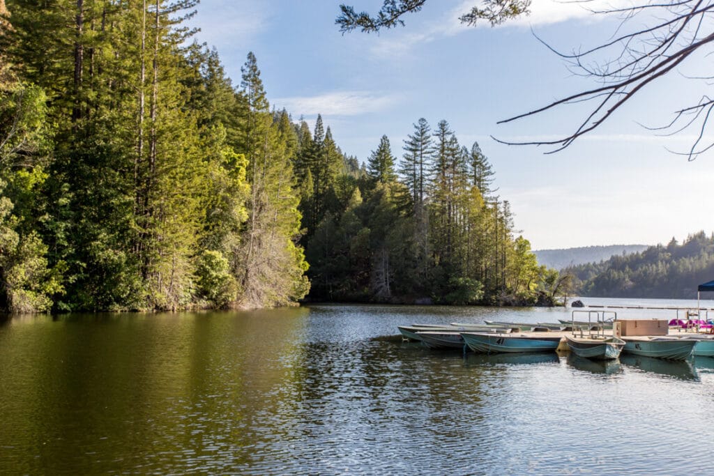 A serene view of a lake surrounded by lush redwood trees, with small boats docked at the shoreline in Felton, California.